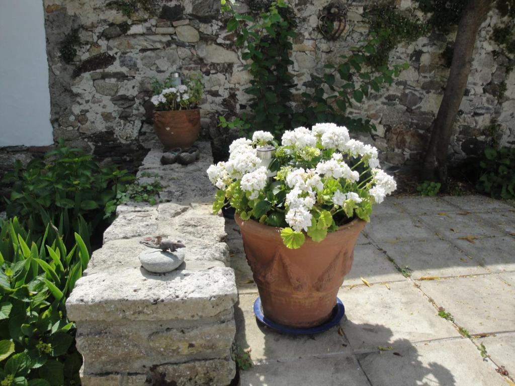 Le Buzet Bleu Bed & Breakfast Noirmoutier-en-l'Ile Luaran gambar